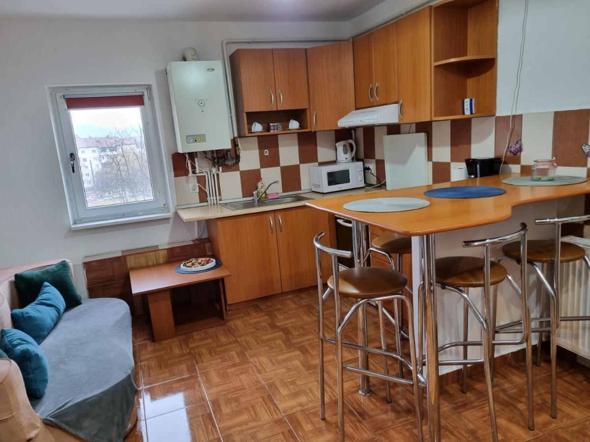 Marya'S Apartment Ramnicu Valcea Luaran gambar