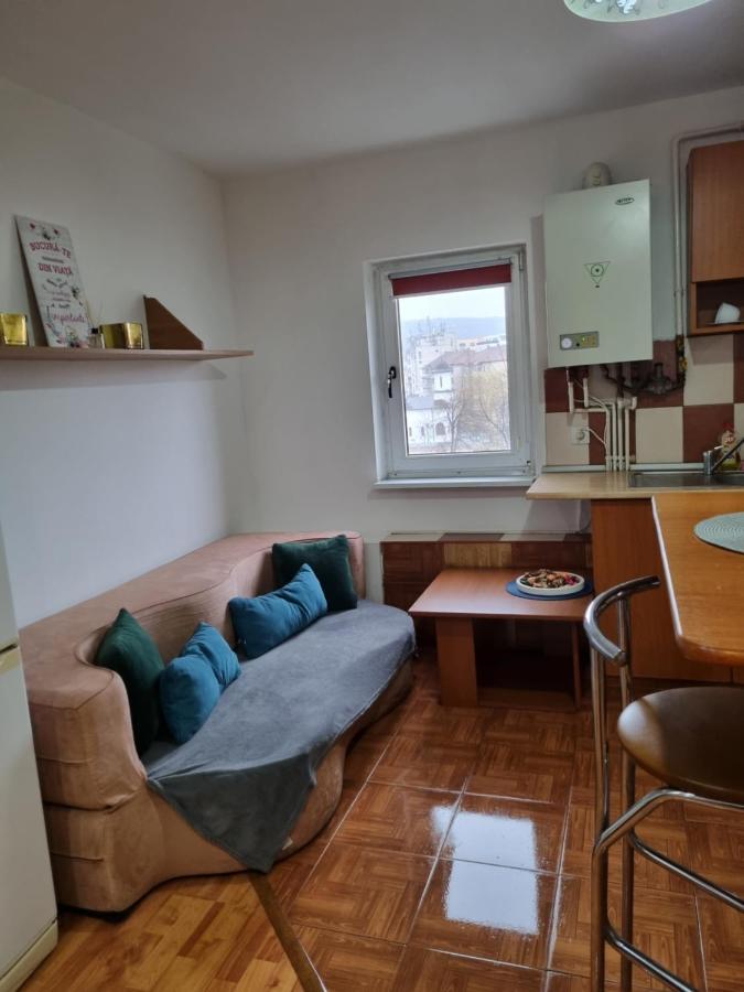 Marya'S Apartment Ramnicu Valcea Luaran gambar